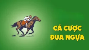 Bí Quyết Cá Cược Đua Ngựa 188Loto Từ Các Cao Thủ Hàng Đầu