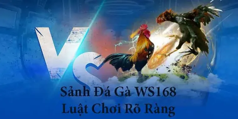 Hướng Dẫn Chi Tiết Cách Chơi Đá Gà WS168 Tại 188Loto Luôn Thắng