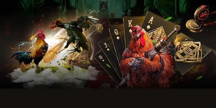 Làm Chủ Sảnh Đá Gà GA28 Tại 188Loto Với Hướng Dẫn Toàn Tập