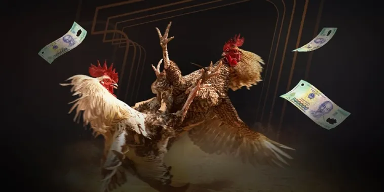 Đá Gà 188Loto Đấu Trường Kịch Tính Bậc Nhất Châu Á Hiện Nay